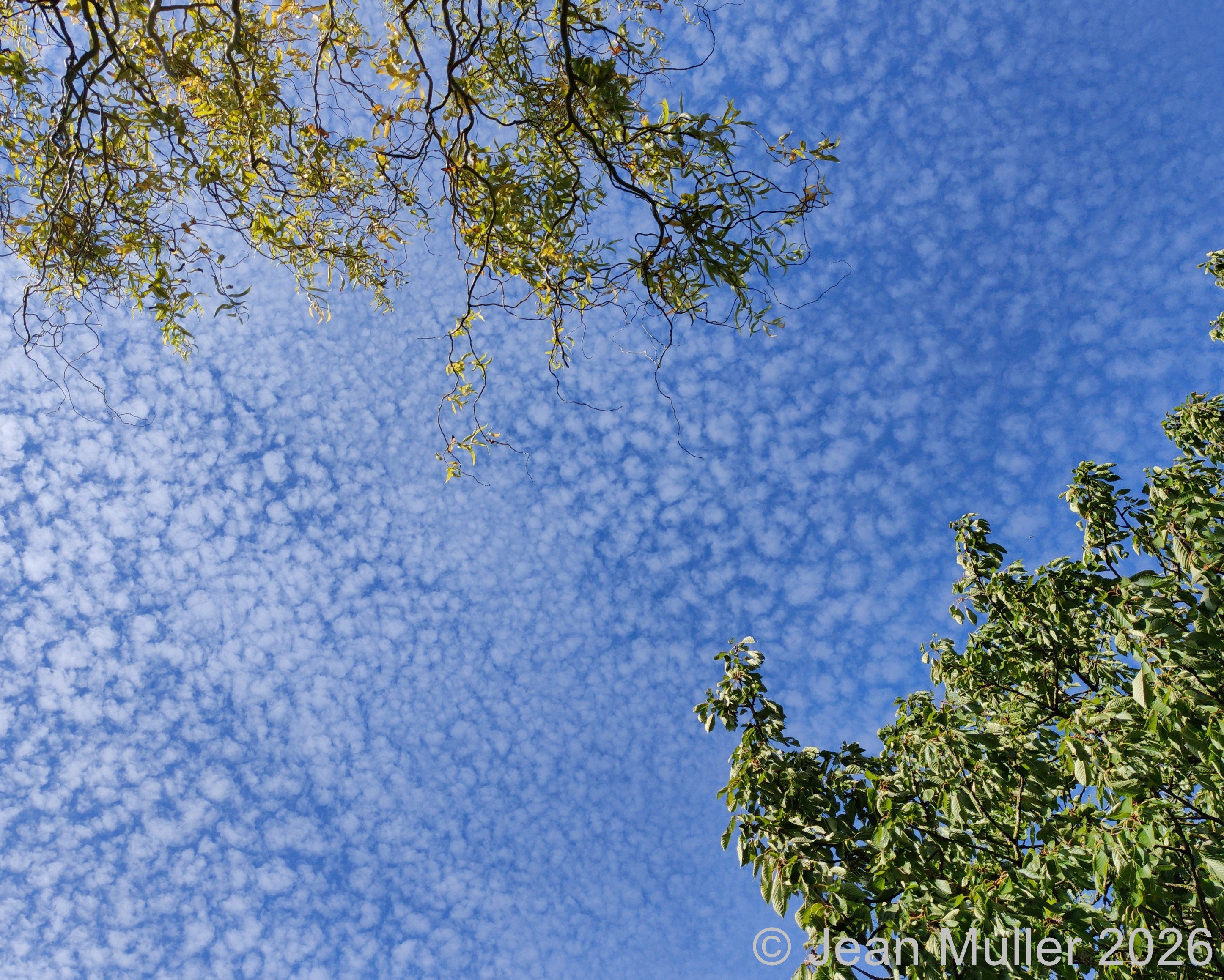 Impressionist Sky