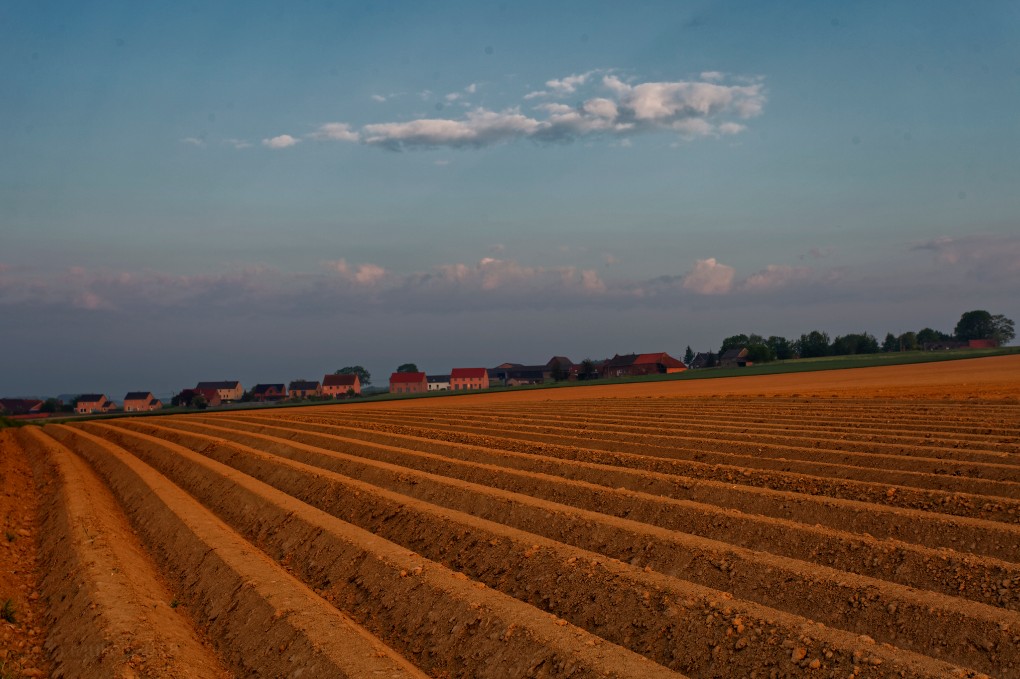 Countryside field jm
