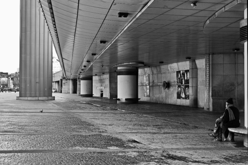 Facing The Horizon s